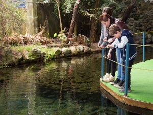 The National Kiwi Centre Hokitika - Family friendly activity