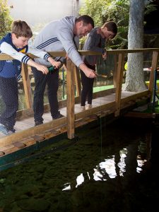 The National Kiwi Centre Hokitika - Koura catching