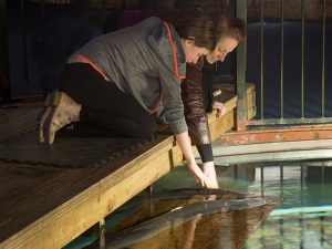 The National Kiwi Centre - Daily eel feeding sessions