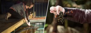 Feeding Eels and catching Crawly