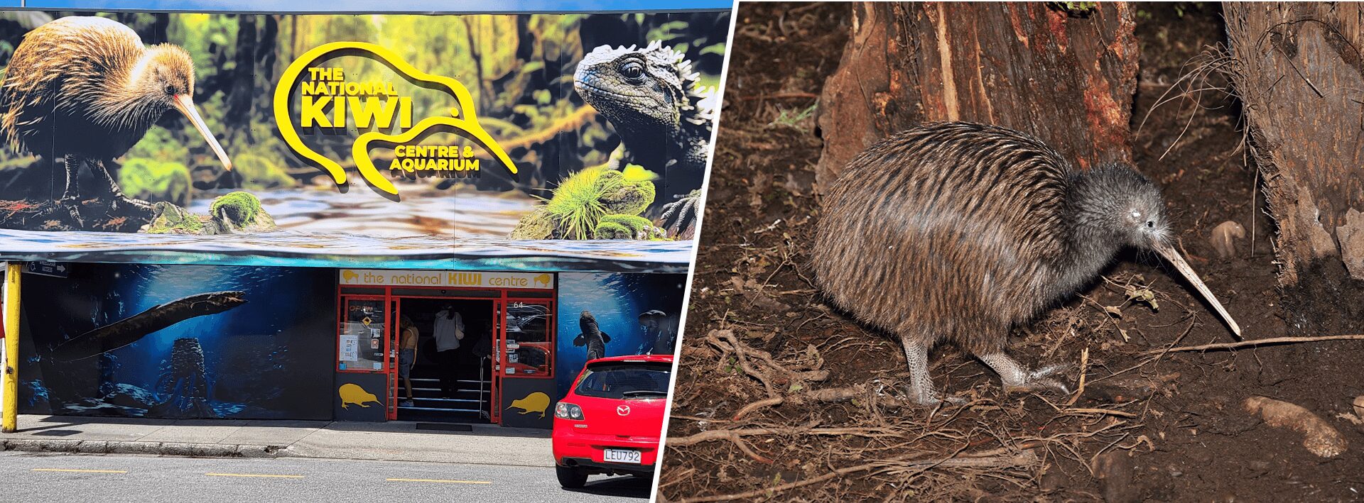 Kiwi Centre Shop Frontage Hokitika